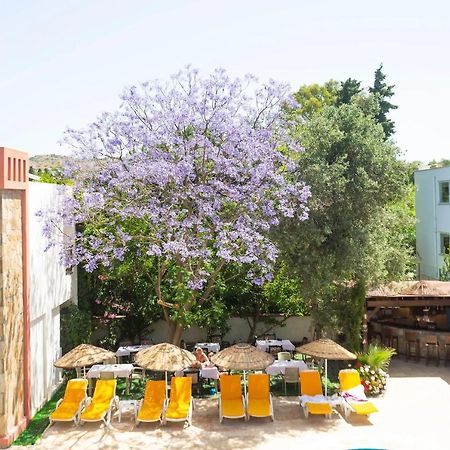 Kriss Hotel Bodrum 외부 사진